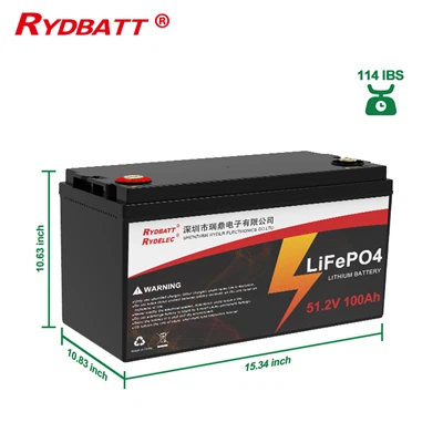 RYD51100 51.2V 100Ah